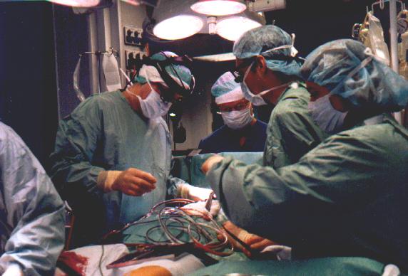 NAKI 3.jpg (40960 bytes)